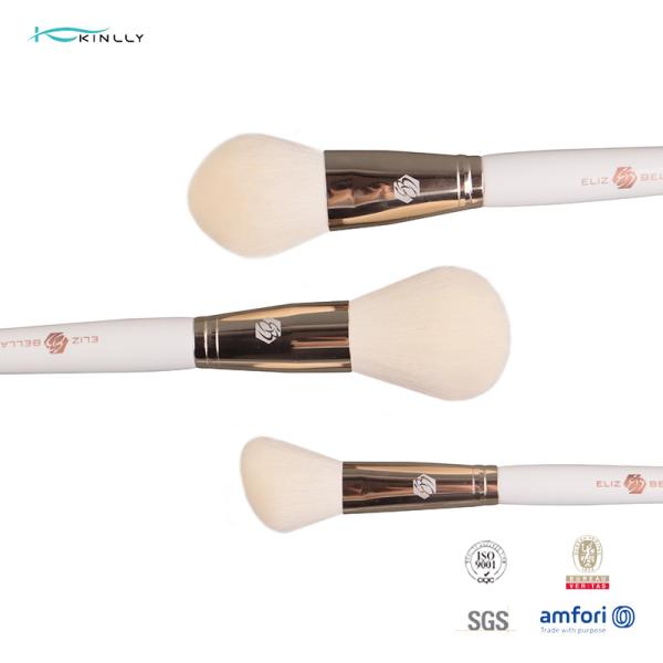 порошок учреждения наборов щетки SGS синтетических волос 10pcs косметический