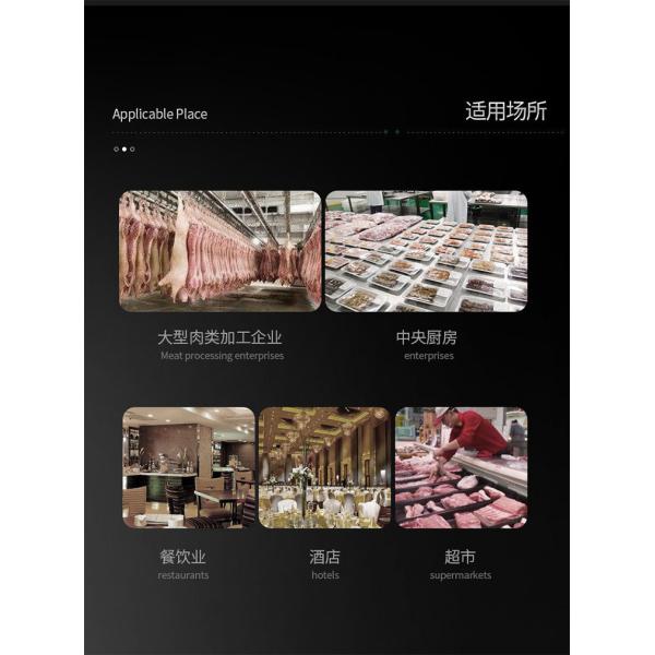 Máquina de moedura profissional de Easy Operation Chicken da picadora de carne da casa