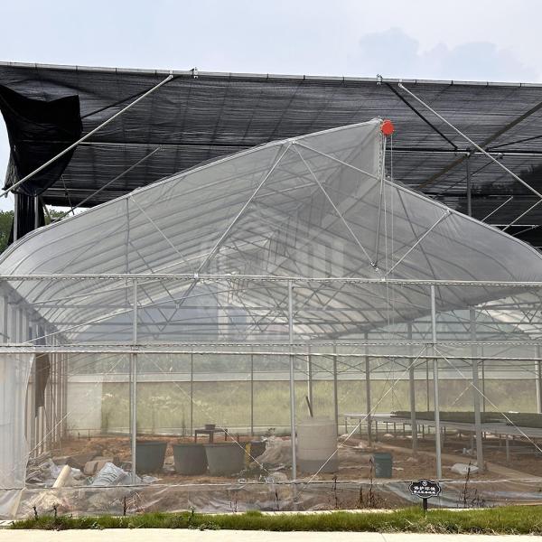 Sistema de controlo de ventilação de refrigeração de áreas tropicais Teado de dente de serra Multi-espaço Poli Estufas