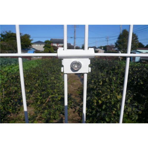 Ornamental single double loop wire fence (Factory direct sales)