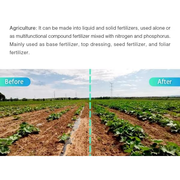 Potassium Humate Flakes Shiny 100% Water Solubility Fertilizer Super Fulvic Acid