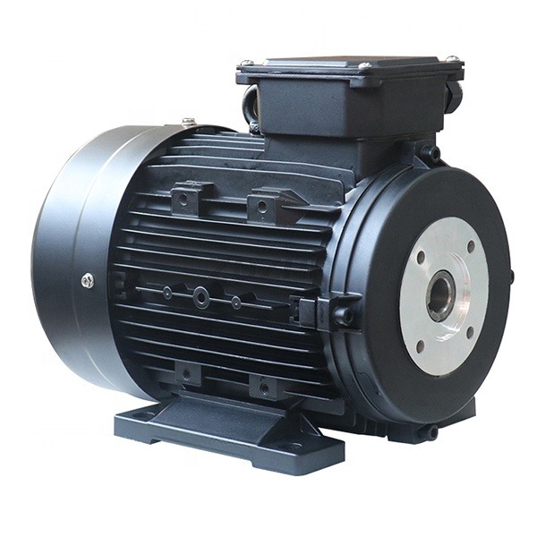 20 Mm Shaft Diameter Hollow Shaft 3 Phase Motor Providing Consistent Electrical Performance and Mechanical Reliability