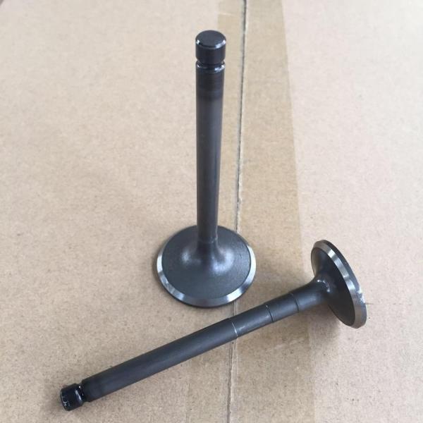 OK65D-12-111 OK65D-12-121 ( EX )  Car Engine Valves Intake Iron For KAI J2