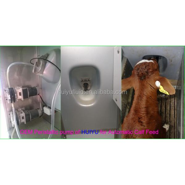 Степной двигатель постоянного тока 12в 24в AC220в 110в химический реагент для обработки воды дозировка молодняка кормление самостоятельное приготовление ODM OEM перистальтический насос