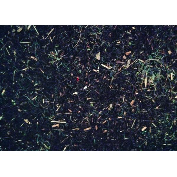 High Resolution Seafood CCD Color Sorter , Shrimp Color Sorting Machine