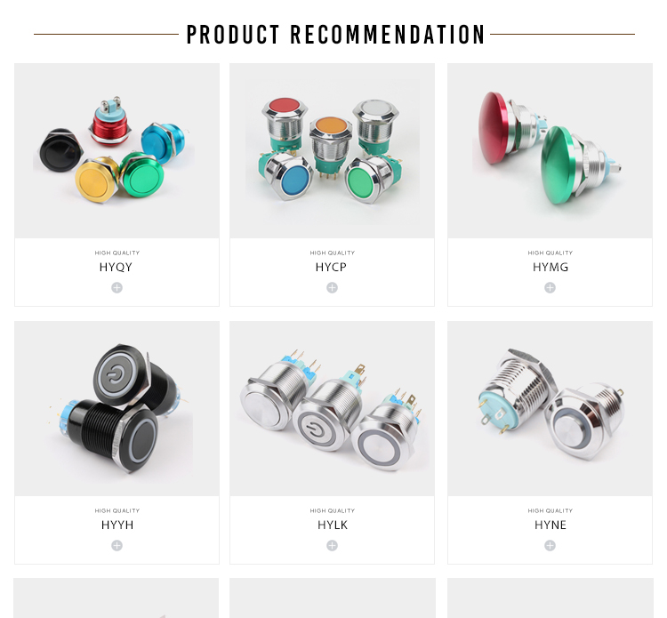 HONGYE HYBD19-PS Dia 19mm Stainless Steel Waterproof Push Button 3 Pin 1NO1NC IP65 Self-Locking Electronic Structure 250V LED