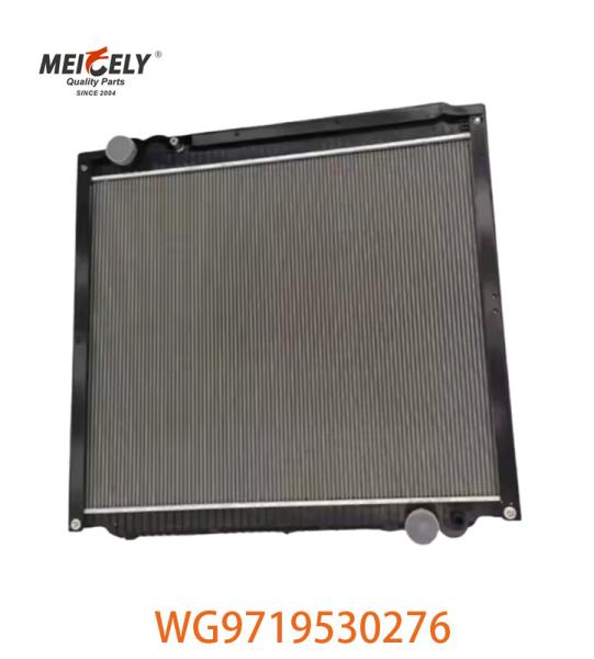 Original WG9719530276 Radiator Assembly WG9725530270 Fit For HOWO Truck