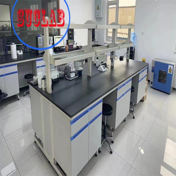 Chemical Resistant Chemistry Lab Workbench Laboratory Furniture Hong Kong With  Phenolic Resin Worktop