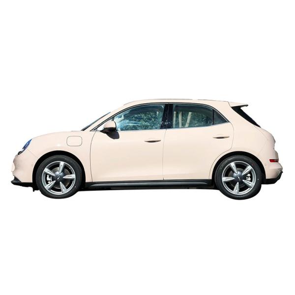 Sédane Mini Véhicules électriques à grande vitesse Petite Sédane électrique Ora Chat Pour Adultes