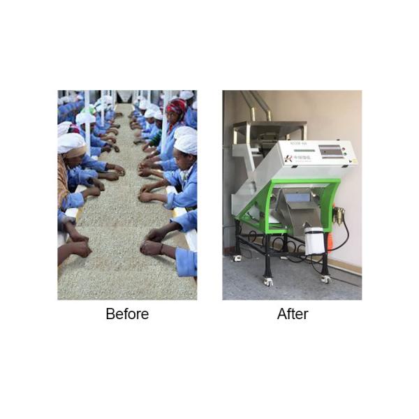 Sortisseur optique de graines de mil