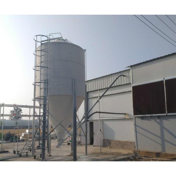 Steel Grain Storage 11 Ton 5.8m Chicken Feed Silo