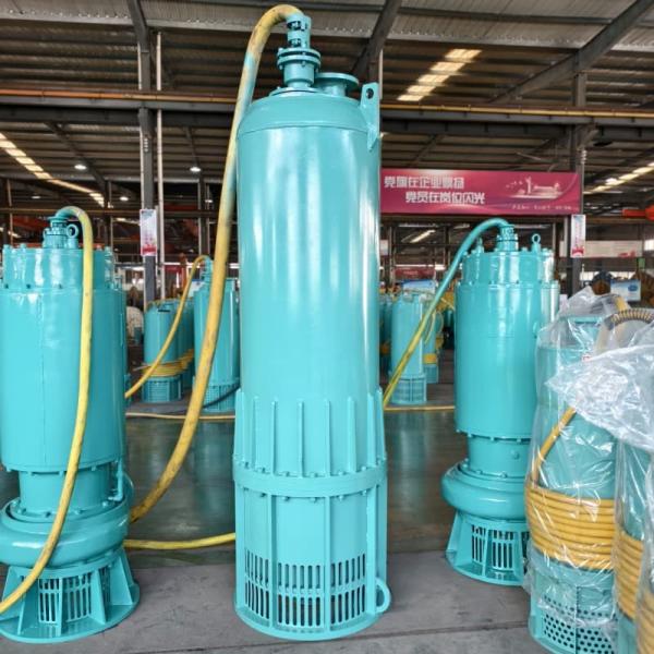 230hp 150m³/H 425m High Head Submersible Slurry Pump 315kW For Mining And Oil Extraction  Powerful And Reliable