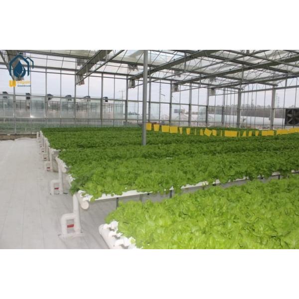 UV Resistant Organic Greenhouses Multi Span Organic Farm Greenhouse With Water Saving Solutions
