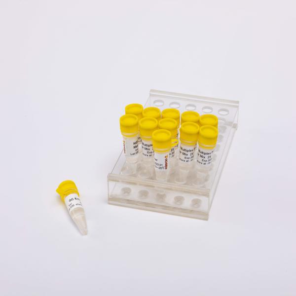 40/400/2000 Reactions 2X NGS Multi Plex PCR NM1001 NM1002 NM1003