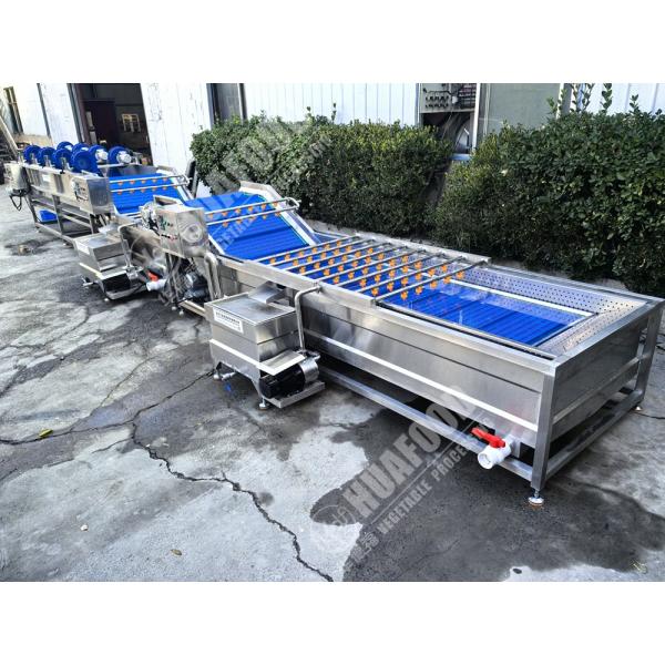 Fruit And Vegetable Washing Machine with Feathers and 220V Voltage