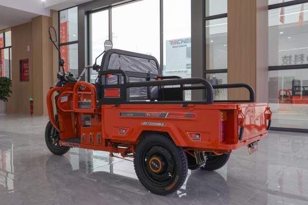 50KM/H 800w Passenger 2 Seater Electric Tricycle For Adults