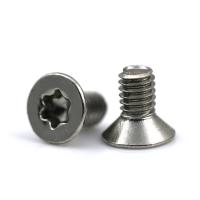 A2-70 en acier inoxydable M2.5 contre-enfoncée Torx micro vis de précision