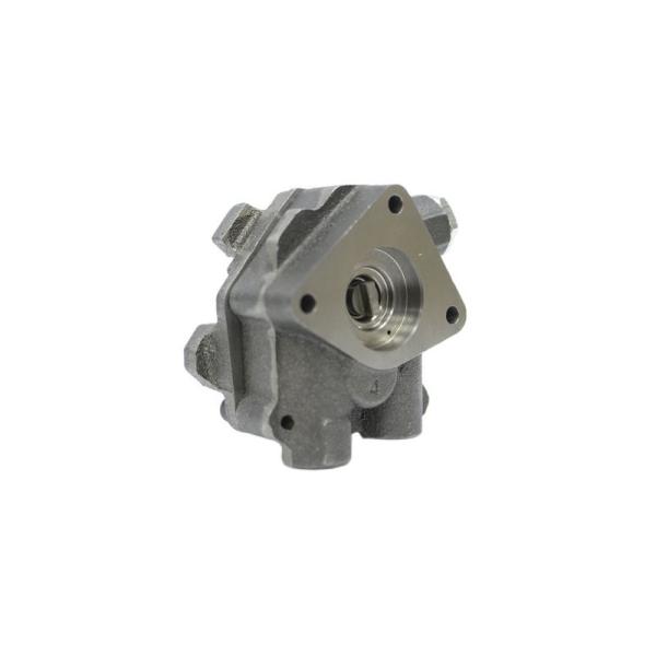 20997341 21476011 85103778 85013002 15029990 11128165 pompe à carburant à engrenages pour
