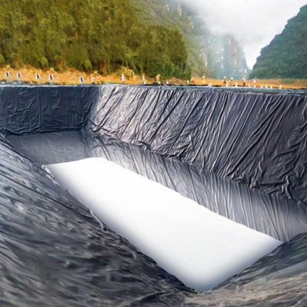 Comprimento 50-200m Geomembrana de HDPE para limpador de lagoas agrícolas modernas Design moderno