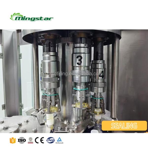 Piston Pet Bottle with Juice Water Washing Filling Capping Line Honey Water Honey Water Filling Machine