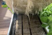 Bancos rodantes de flujo y reflujo para la agricultura bandejas móviles de siembra para guarderías