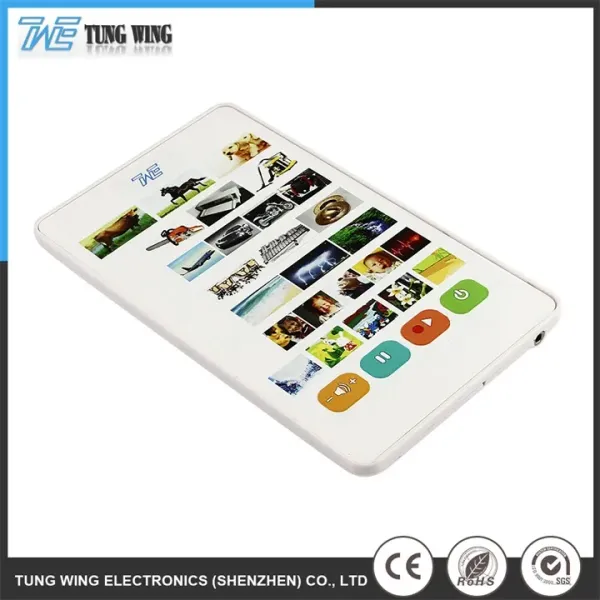 Customized Recordable Book Sound Module with Sound Recording and Remote Control for Educational Toys