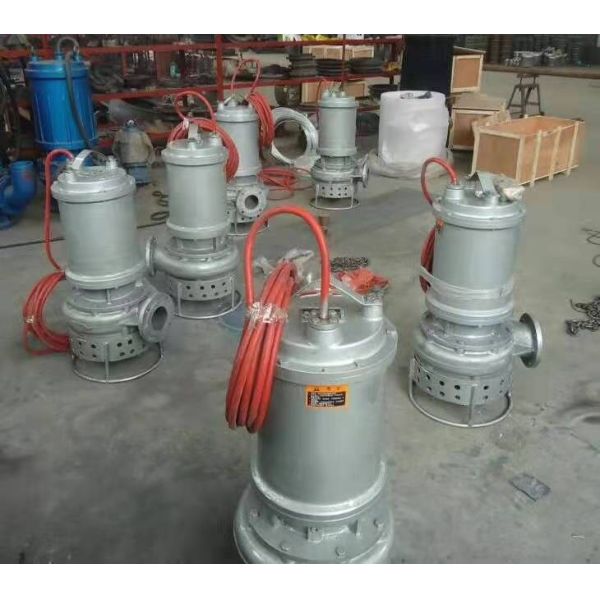 Duck Farm Slurry Submersible Pump SS304 With Head Up To 80 Meters Offering Performance in Demanding Slurry Applications