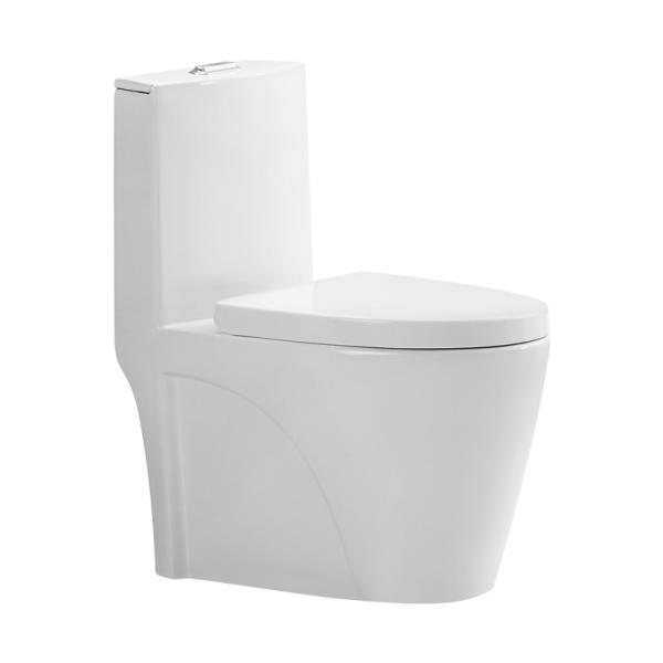 Dual-Flush One Piece Toilet with Ceramic Water Tank