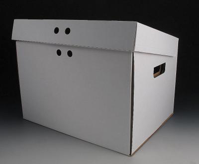 Simple & fashionable new carton files boxes