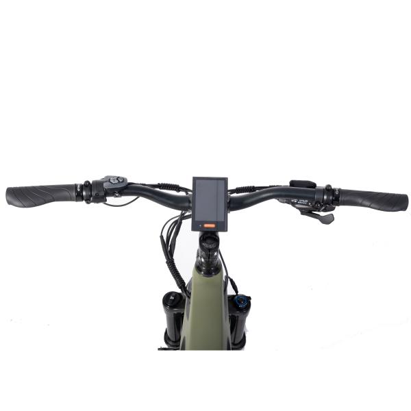 OEM Carbon Fiber MTB 29inch Electric Mountain Bike with 1000W Power and DPC-18 Display