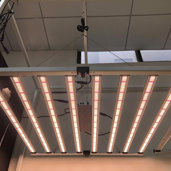 RedFarm 650W 8Bars Foldable LED Grow Lights Samsung LM301B For Commercial Cannabis