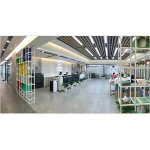 ZSUN CHIPS CO., LTD