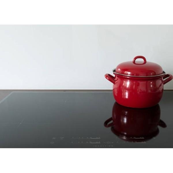 Sensor Control 9.5Kg Double Plate Induction Cooker