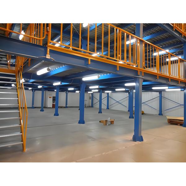 Steel Structure Mezzanine Floor, Professional Designing Storage Shelf /
