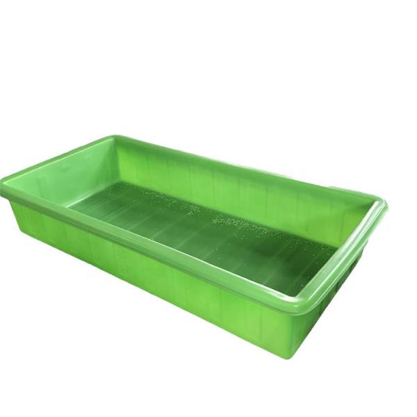 Рыбы заводов фермы парника разводя Aquaponics растут качество еды кровати