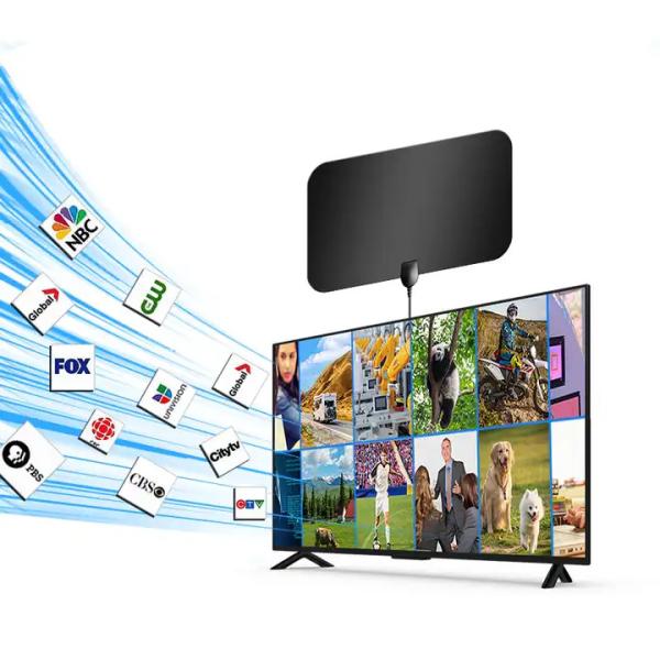 Indoor Digital Xxxl Sexy Full HD Dish TV Antenna com e 50 Ohm Impedância de Entrada