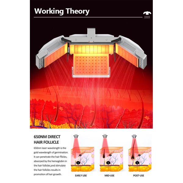 650nm 6 In 1 Laser Hair Growth Device For Scalp Care / Hair Regeneration
