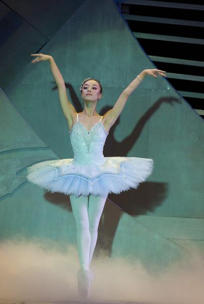 adult and children's Professional rhinestone lace ballet tutus bitter fleabane costumes tutu dress