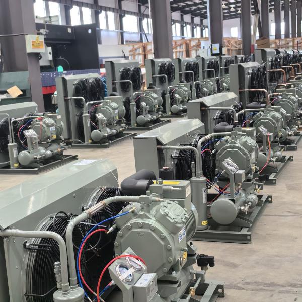 Professional Grade Freezer Cold Room for Safe and Hygienic Storage of Goods