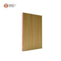 Micro-perforated Acoustic Panel Advanced Soundproofing With Customizable Finishes