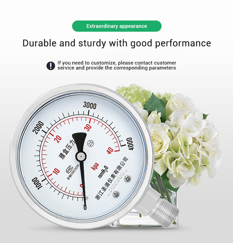 High Pressure Gas Meter 2.5% Accuracy Stainless Steel Diaphragm Seal Pressure Gauge