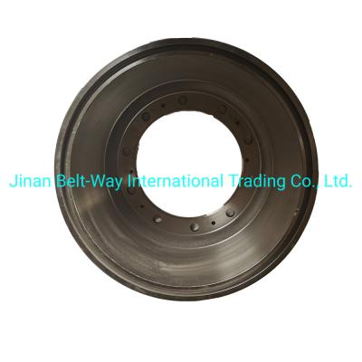 Electrical System Parts Battery for Sinotruk HOWO Truck Brake Drum Wg9231342006 Durable