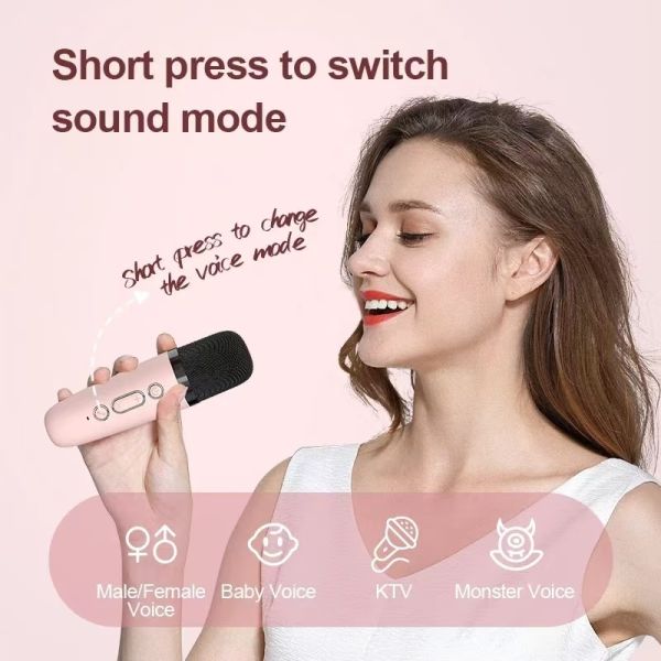 Mini Portable Bluetooth Speaker With Mic Audio Home Family Singing Karaoke Wireless Speaker