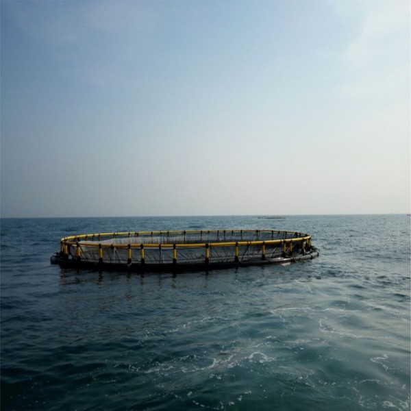 Wave-Resistant HDPE Circular Fish Cage for Offshore Aquaculture | 15-Year Service Life