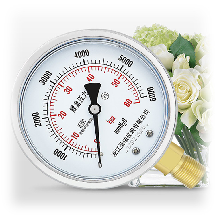 Customizable 304ss Stainless Steel Case Hydraulic Capsule Micro Pressure Gauge YE100