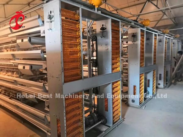 Capa galvanizada caliente del buen precio que cultiva el tipo venta Adela del sistema A de la jaula