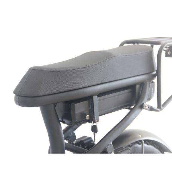 Electric Bicycle 48v 20 Inch Adult E Bike Customized Aluminum Alloy Frame 2022 Mountain