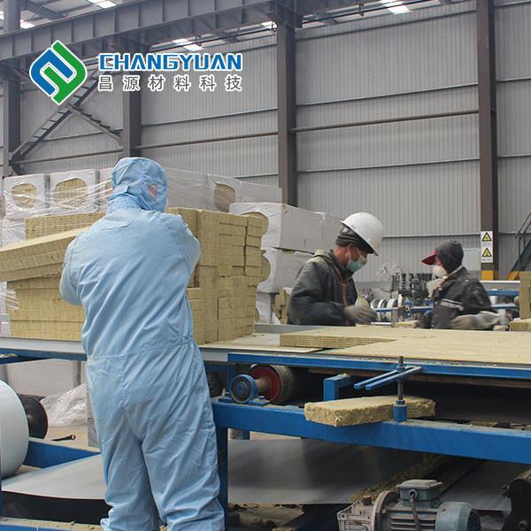 98% RH Cleanroom Wall Panel 50mm 75mm 100mm For Walls Divisions