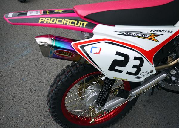Pink Color Lady Trail Bike Motorcycle 106KG Net Weight Electric / Kick Start