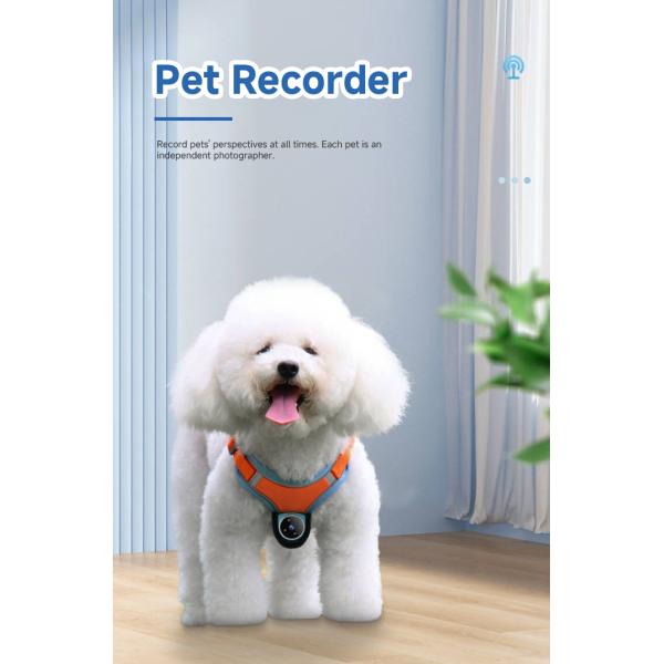 Mini cámara de acción con pulgar magnético de grabación de vídeo con arnés inalámbrico para perros